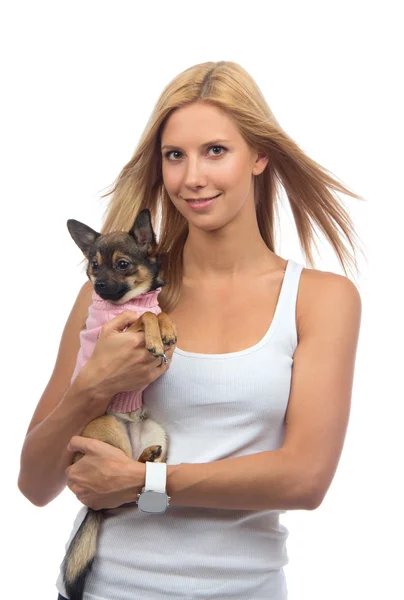Boldog asszony tart kezében kis chihuahua kutya vagy kiskutya — Zdjęcie stockowe