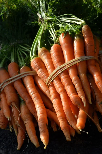 传统市场上的胡萝卜水果 — 图库照片