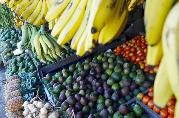 Frutas frescas no mercado tradicional — Fotografia de Stock