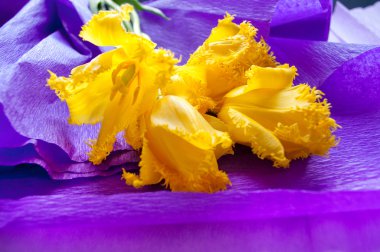 Menekşe arkaplan üzerinde sarı lale olan kartpostal