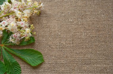 kartpostal ile kumaş çuval bezi üzerinde kestane