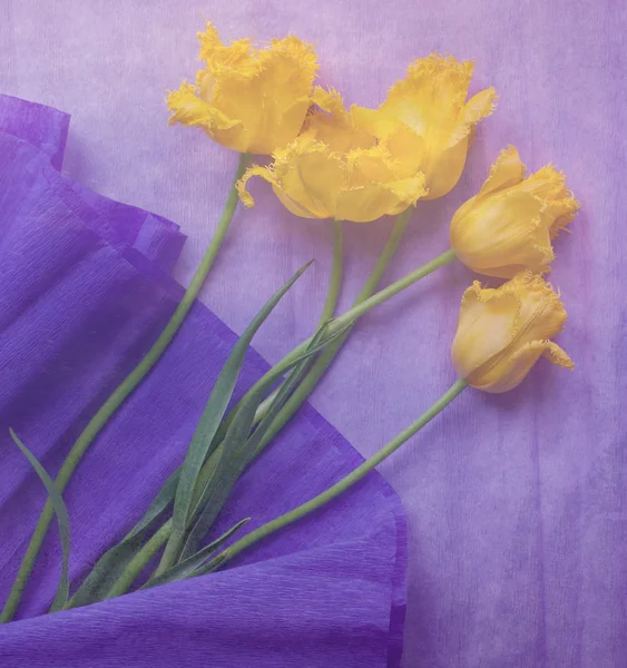 Postal vintage con tulipanes amarillos sobre fondo violeta — Foto de Stock