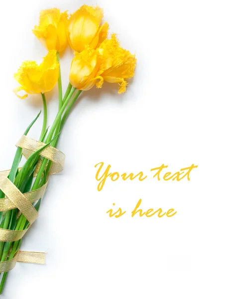 Postal para texto con tulipanes amarillos y cinta dorada — Foto de Stock
