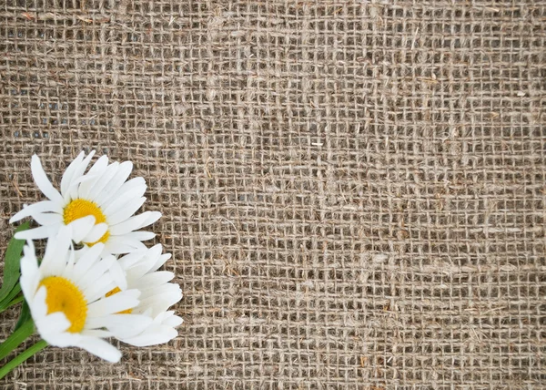 Cartolina d'epoca con fiori su tela da sacco — Foto Stock