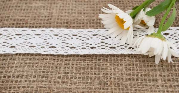 Flores sobre tela vintage con riddon blanco — Foto de Stock