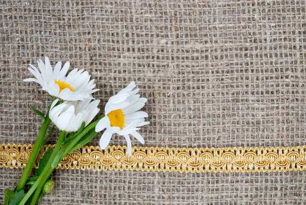 Postcard with flowers on sacking cloth isolated on white backgro — Stock Photo, Image