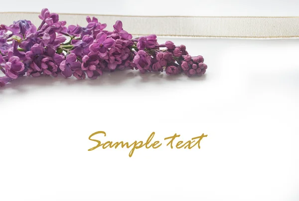 Cartolina con fiore di lilla e nastro dorato Foto Stock