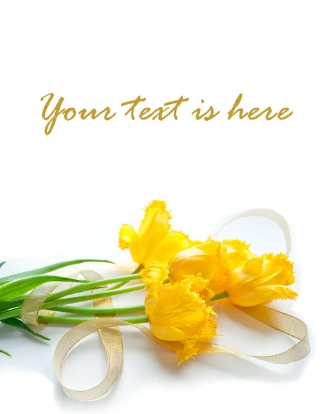 Carte postale pour texte avec tulipes jaunes et ruban doré Image En Vente