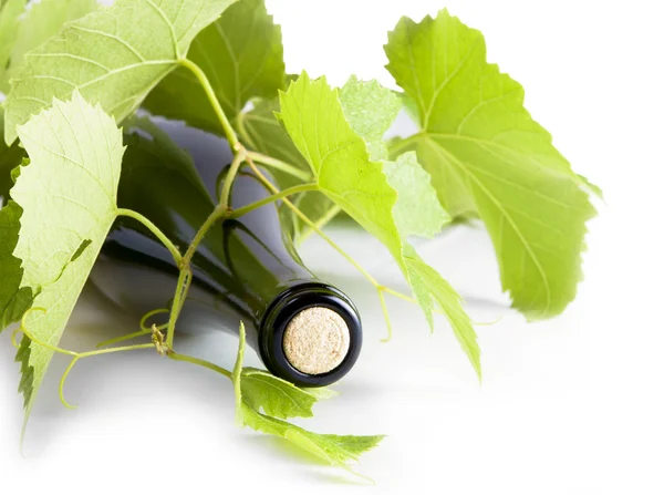 Vinho branco, garrafa de folhas de uva . — Fotografia de Stock