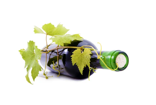 Vino Botella y uvas con hojas . — Foto de Stock