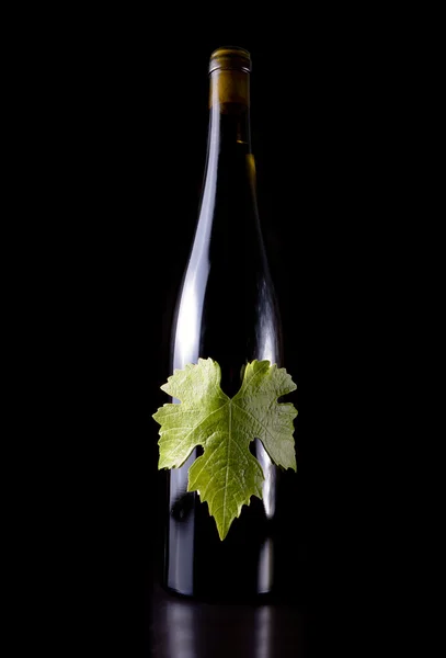 Şarap şişeleri, üzüm yaprağı sembolü. — Stok fotoğraf
