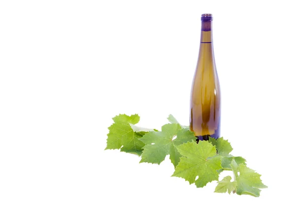 Bílé víno a hroznovou listy. — Stock fotografie