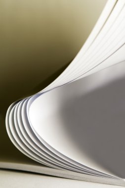 kemerli kitap sayfalarını yakından izlendi.