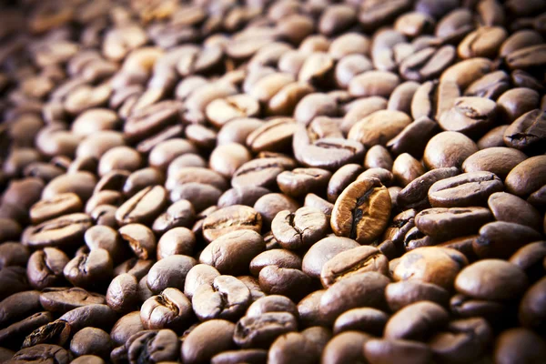 Heerlijke koffie bonen, dicht bij elkaar. — Stockfoto