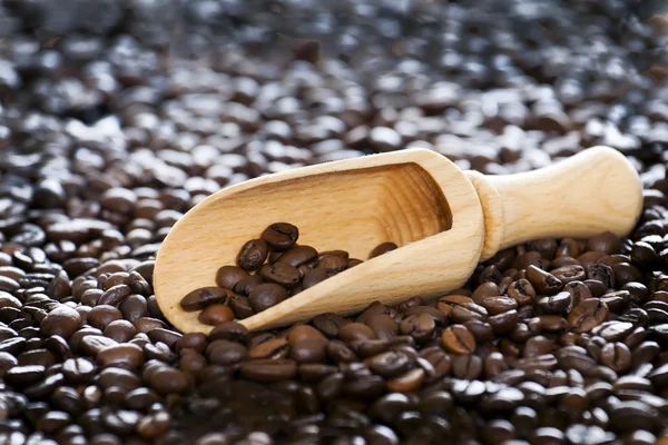 Koffie bonen op houten lepel. — Stockfoto