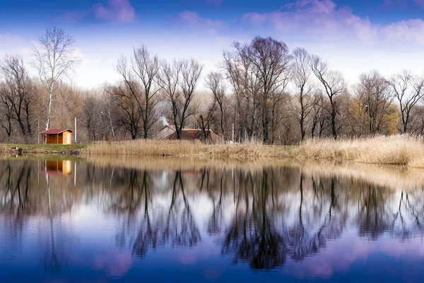 Floresta pacífica e costa do lago . — Fotografia de Stock