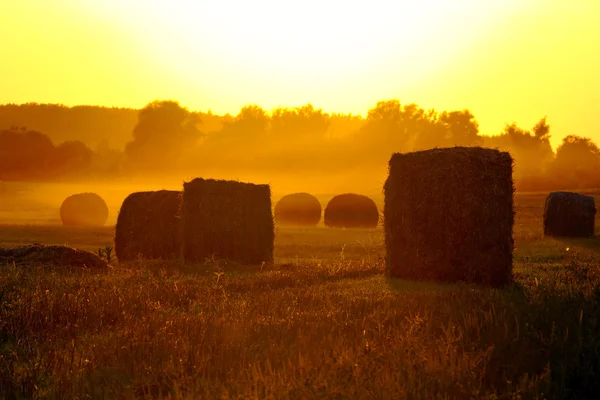 Pôr do sol sobre os campos, e palha . — Fotografia de Stock