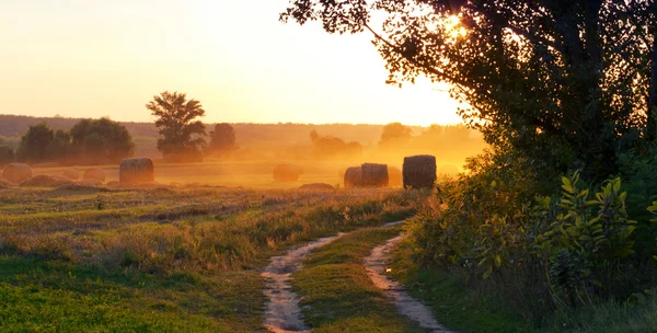 Les terres agricoles et le magnifique coucher de soleil . — Photo