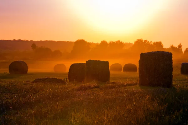 Ферма і чудовий захід сонця . — стокове фото