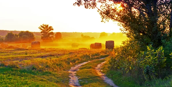 Sunset over the fields, and straw. — Stock Photo, Image