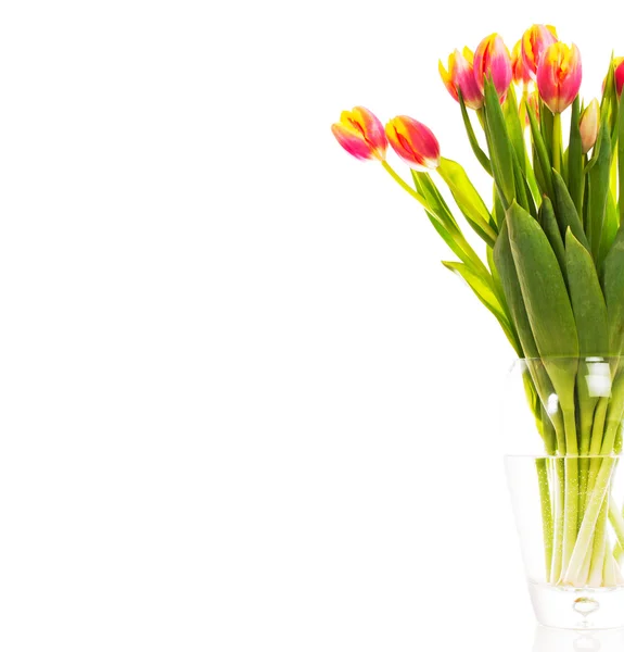 Schöner Strauß bunter Tulpen. — Stockfoto