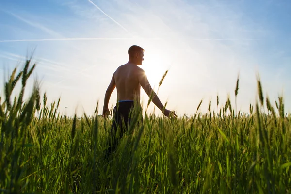 The field to check the ears of the man's hand. — Stock Photo, Image