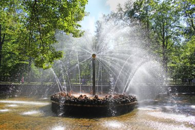 Fountain in Peterhof sun clipart