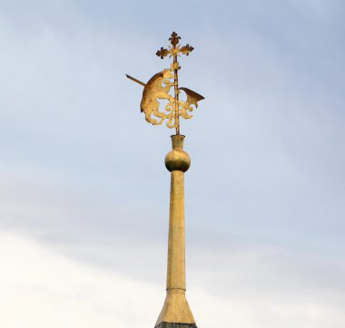 yaroslavl holding ax arması ayı