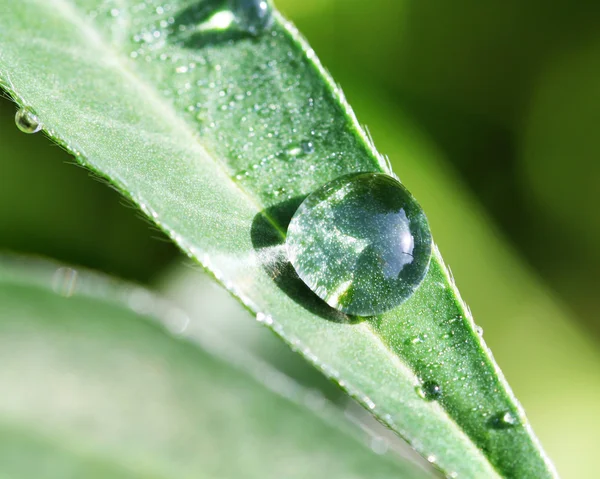 La goutte d'eau transparente ronde — Photo