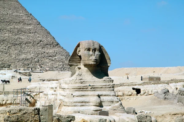 Sphinx in Ägypten in Kairo — Stockfoto