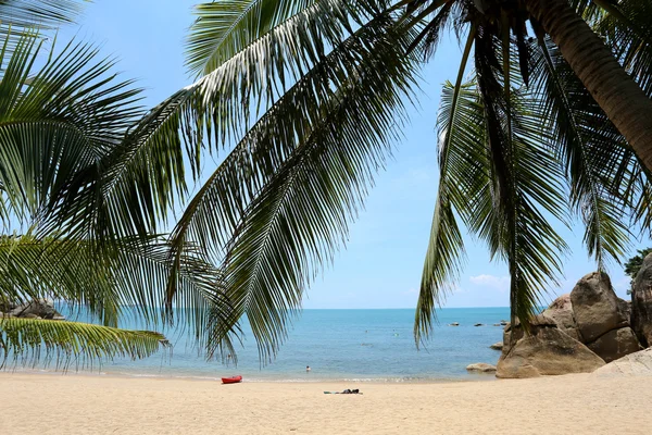 Paysage sur la plage — Photo