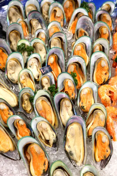 Mejillones con conchas —  Fotos de Stock