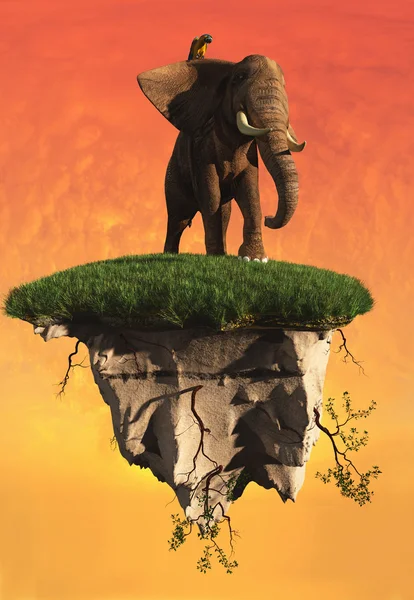 Az elefánt — Stock Fotó
