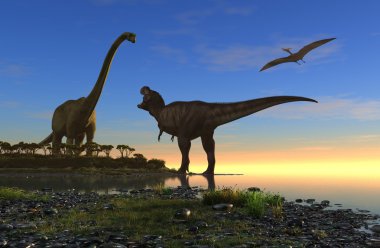 dinozor