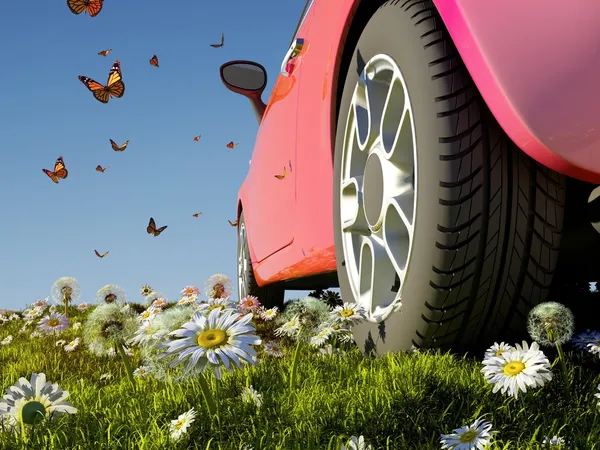 자동차와 나비 — 스톡 사진