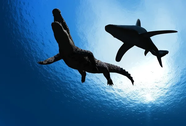 Haai en krokodil — Stockfoto