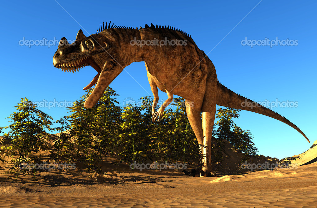 palaeontology #hashtag