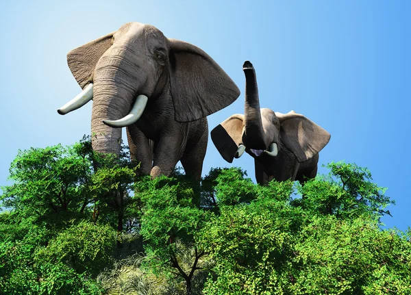 La mandria di elefanti — Foto Stock