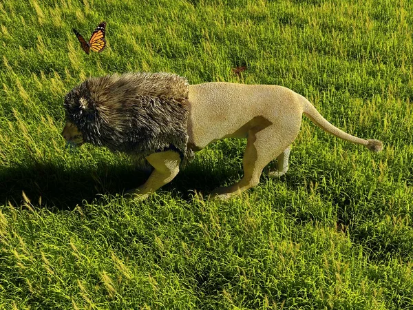 Silhouette Lion Green Grass Rendering — Stock Photo, Image
