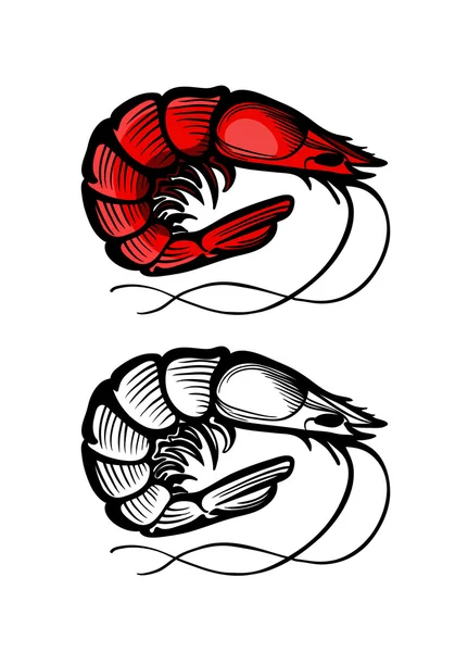 Garnalen — Stockvector