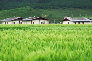 Tibet Konut Binası