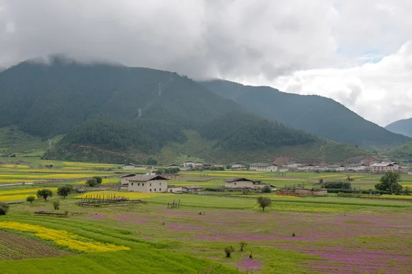 Пейзаж тибетской деревни Шангри-Ла — стоковое фото