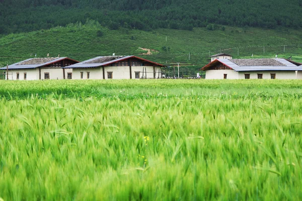 Tibetaanse residentieel gebouw — Stockfoto