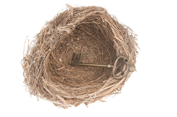 Sleutel in vogel nest — Stockfoto