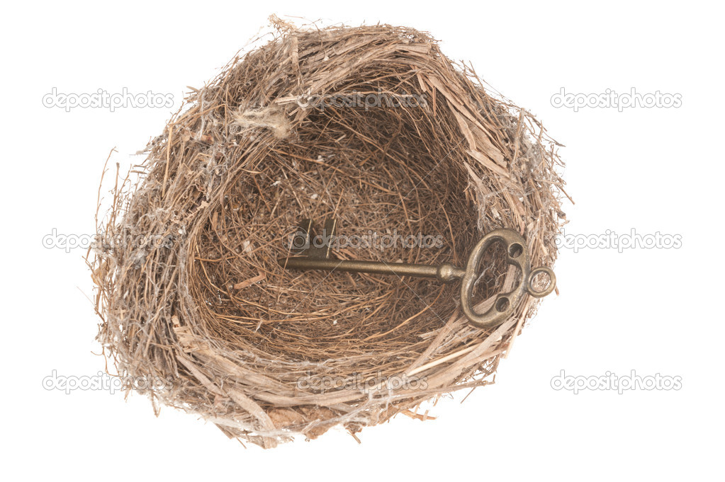 Key in bird nest