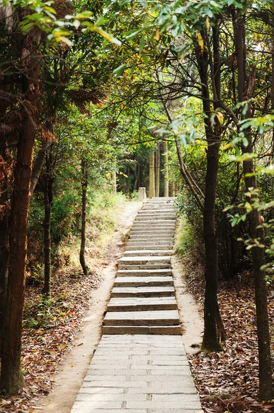 Stone steps — Stock Photo, Image