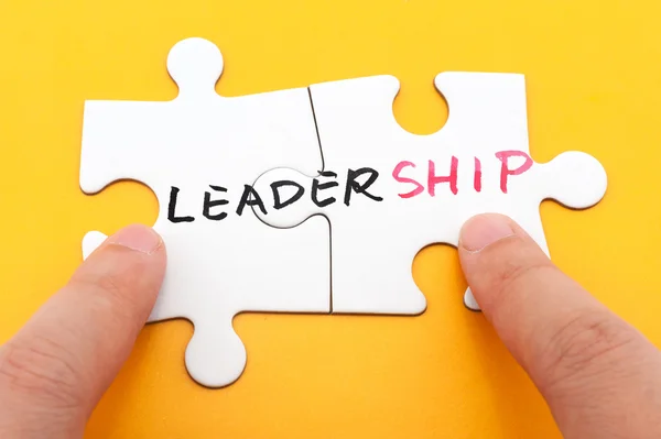 Leadership concept — Stock Photo, Image