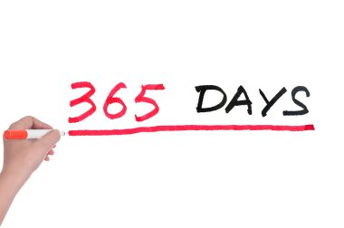 365 gün