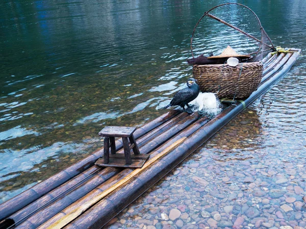 Cormorant on raft — Stock Photo, Image