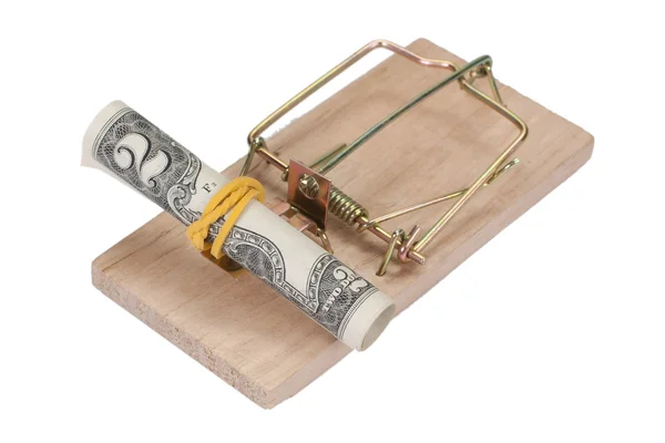 Dolar ile fare kapanı — Stok fotoğraf